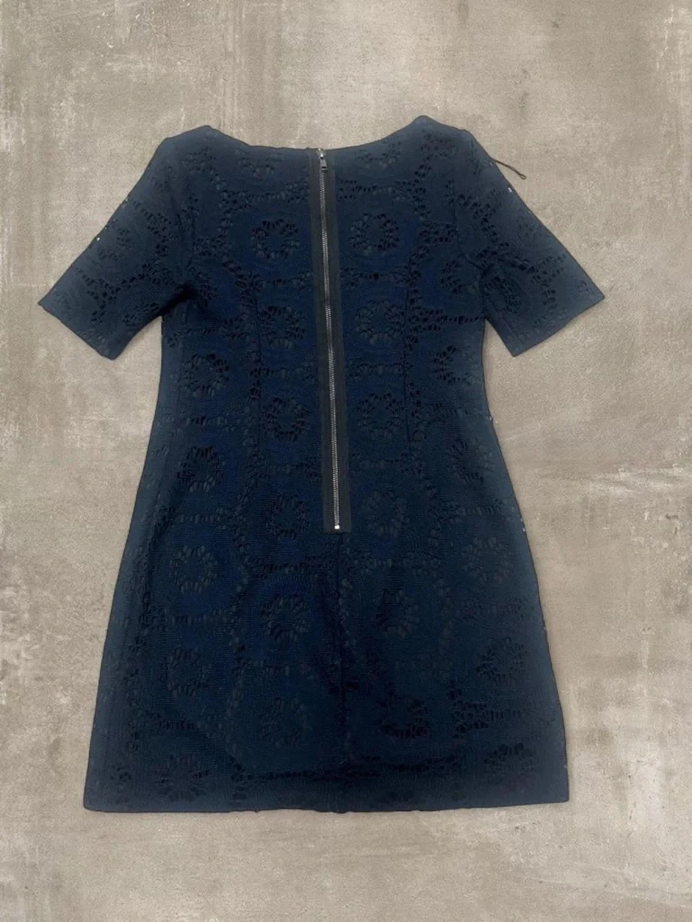 Adrianna Papell Petite Black Lace Dress 4P Short Sleeve Zip Back Elegant
